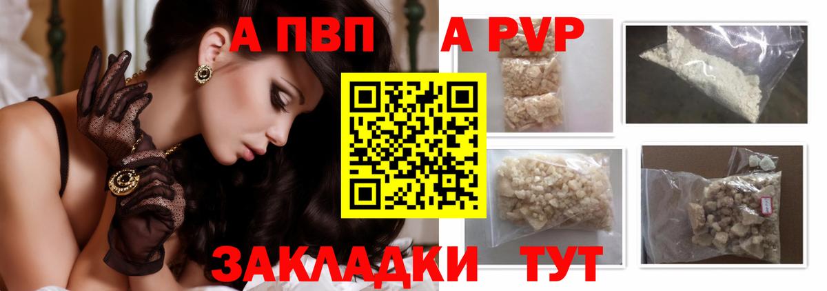 Альфа ПВП СК Нижневартовск