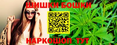 jwh Будённовск