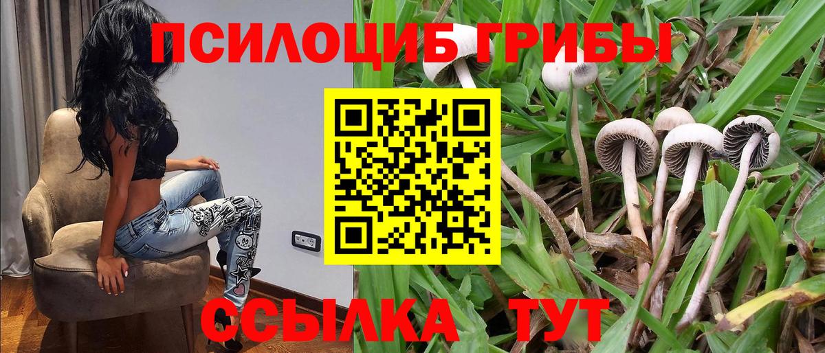 Нижневартовск  Галлюциногенные грибы GOLDEN TEACHER  Галлюциногенные грибы GOLDEN TEACHER  Вход с VPN 